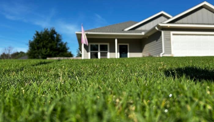 mosquito control, mosquito bites